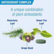 Lamberts Antioxidant Complex Super Strength - 60 Tabs