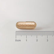 Lamberts Biome Balance for those on Antibiotics (Saccharomyces Boulardii) - 30 Caps - RightNutri - Supplements