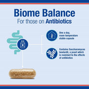 Lamberts Biome Balance for those on Antibiotics (Saccharomyces Boulardii) - 30 Caps - RightNutri - Supplements