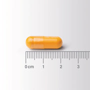 Lamberts Curcumin Ultra (Plus) - 60 Caps - RightNutri - Supplements