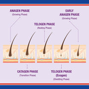 Lamberts Florisene for Women - 90 tabs - RightNutri - Supplements