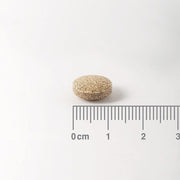 Lamberts Ginkgo 6000mg Extra High Strength - 180 Tabs - RightNutri - Supplements