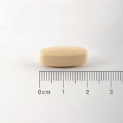 Lamberts Glucosamine Sulphate 700mg - 120 Tabs - RightNutri - Supplements