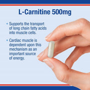 Lamberts L - Carnitine 500mg - 60 caps - RightNutri - Supplements