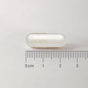 Lamberts L - Phenylalanine 500mg - 60 Caps - RightNutri - Supplements