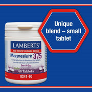 Lamberts Magnesium 375 - 180 Tabs - RightNutri - Supplements