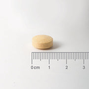 Lamberts Milk Thistle 2500mg - 60 Tabs - RightNutri - Supplements