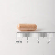 Lamberts Pycnogenol 40mg - 60 Caps - RightNutri - Supplements