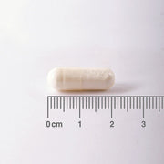 Lamberts Taurine 500mg - 60 Caps - RightNutri - Supplements