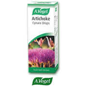 A. Vogel Artichoke (Cynara Scolymus) - 50ml - RightNutri-Supplements