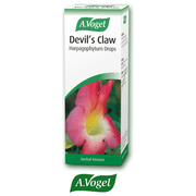 A. Vogel Devils Claw (Harpagophyum root) - 50ml - RightNutri-Supplements