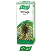A. Vogel Plantago Lanceolata - 50ml - RightNutri-Supplements